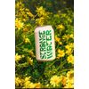 Strange Water (8 pack, Stilled Coconut Water)