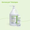 Dermalyte Shampoo, 12 Ounce