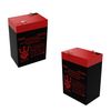 Neptune 6v 4.5ah Replacement Battery for American Hunter DE-30008 2 Pack