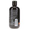 Paul Mitchell Tea Tree Special Color Shampoo 10.14 oz