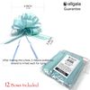 Allgala 12-pc 6 Inch Large Everyday Pull Bows-Turquoise-GP92012