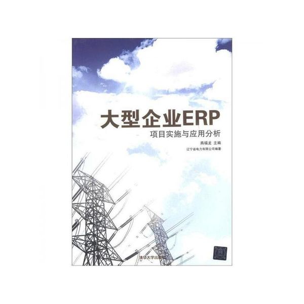 大型企业ERP项目实施与应用分析