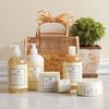 Monticello Honey Skin Care Set