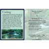 Virtues Reflection Cards