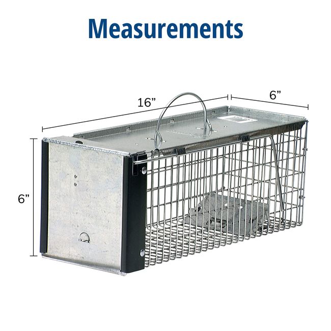  Havahart 1079SR Large 1-Door Humane Catch and Release