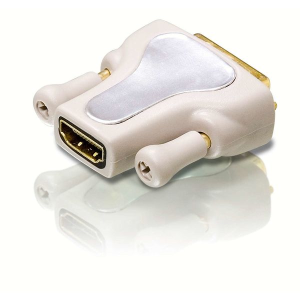 Male Dvi to Female HDmi Adapter