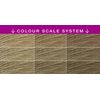 Schwarzkopf Root Retouch Permanent Root Concealer Blonde Hair Dye, Ideal for Touching Up Grey Root Regrowth, Ammonia Free, Medium Blonde