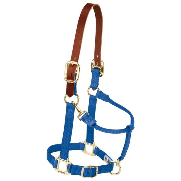 Weaver Leather Nylon Adjustable Breakaway Horse Halter, Small, Blue