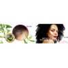 Groganics Revita-Edge Control Gel 4 oz