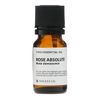 Rose Absolute 10ml Incent Essential Oil Essential Oil