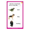 Super Duper Publications | Inferencing with Nouns Fun Deck Flash Cards | Early Reader | Educational Learning Resource for Children