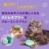Tangle Teaser Pet Teaser Cat Friendly Mint