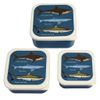 Rex London Snack boxes (set of 3) - Sharks