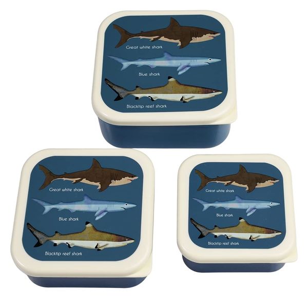 Rex London Snack boxes (set of 3) - Sharks