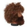 Salon Care Mr. Denton Afro Mannequin Head Brown