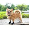Anifull Anisapo Knuckle HERO Small Size