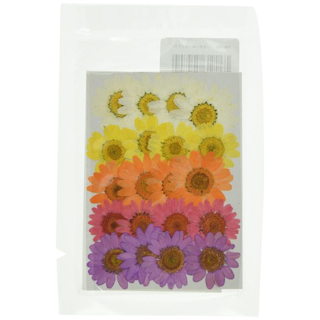 Fukusan Pressed Flower Pack, North Pole Mix, Pack of 20 (5 Colors x 4 Pieces), FUK-1082, Perfect for Nail Resin, Etc