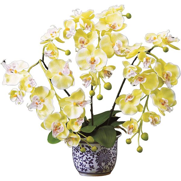 Phalaenopsis Orchid in Porcelain Pot (Photocatalyz) Yellow Phalaenopsis Orchid Flower Artificial Flower Photocatalyst Air Purifier Deodorizing Odor Resistant Antibacterial Germicidal Interior Yellow Yellow Potted Porcelain Ceramic Luxurious Gift