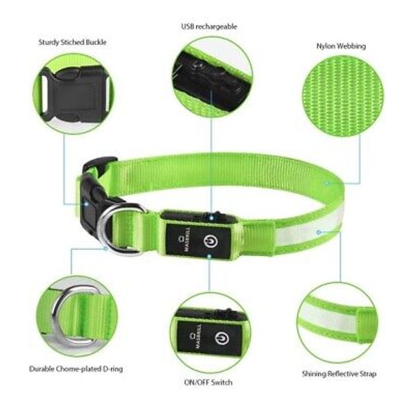 Green Led Dog Collar SMALL Waterproof Light Up Safety Pet Collar -NO POWER CORD-