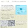Moisturizing Paper aヴxonri-ki-subokkusutexissyu (20 Pieces)