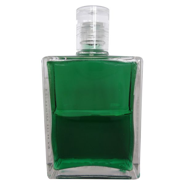 B10 Go and Embrace the Tree Aura Soma Equilibrium Bottle