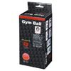 Sakurai Promark Gym Ball Level 2 Supervised by Ryuji Tachibana TPT0282 Diameter 26cm