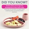 BIBaDO Silicone Plate Blush
