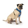 Casual Canine Mesh Dog Harness, X-Large, Blue