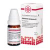 DHU Echinacea purpurea D6 Streukügelchen, 10 g Globuli