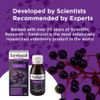 Sambucol Black Elderberry Original Liquid, 120 ml