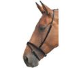 Shires Blenheim Flash Noseband-Black Cob