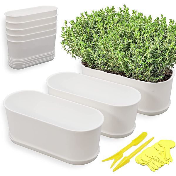 Torfican 5 Set Window Herb Planter Box Rectangular,8.5x3.5 Inch White Plastic Planters with Multiple Drainage Holes and Trays,Indoor Succulent Cactus Mint Flower Pot for Windowsill,Garden Balcony