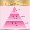 Premium Aroma Gel Type, Urban Romance