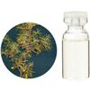 Tree of Life Juniper 3ml
