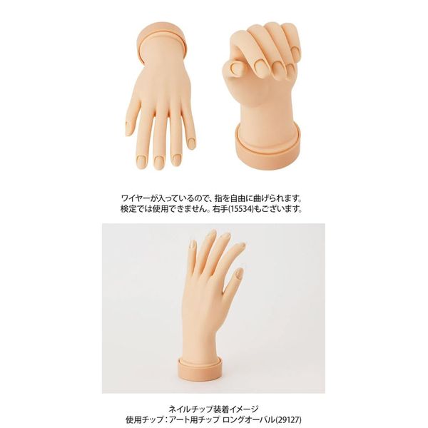 Training Hand (For Nails) Left Hand (Set of 2) [Practice Mannequin, Hand, Finger, Hand Mannequin, Surgical Training]