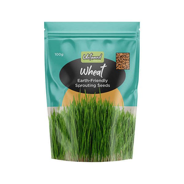 Untamed Health Earth-Friendly Sprouting Seeds Wheat 100g