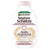 GARNIER WAHRE SCHäTZE SHAMPOO 250ML