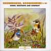 Robin, Redstarts and Company - Birdsong