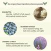 Blueberry Lavender & Chamomile Herbal Body Moisturizer, 17oz