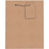 Jillson Roberts 6-Count Medium All-Occasion Solid Color Gift Bags, Matte Kraft