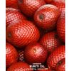 Cortaflex Capsules - Hyaluronic Acid High Strength (Human)
