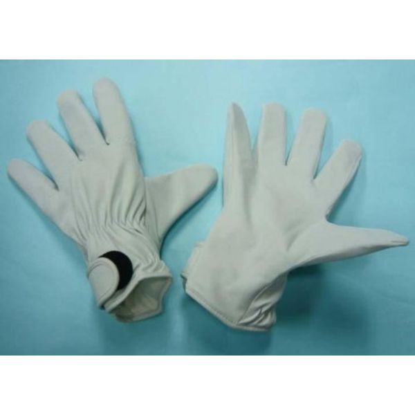 Falcon GABA Anti-Piercing Gloves SP5F