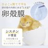 Natural Cosmetics Laboratory Eggshell Membrane Extract Serum, 1.0 fl oz (30 ml), Pump Bottle