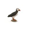 CollectA Puffin Figurine Collectable Toy