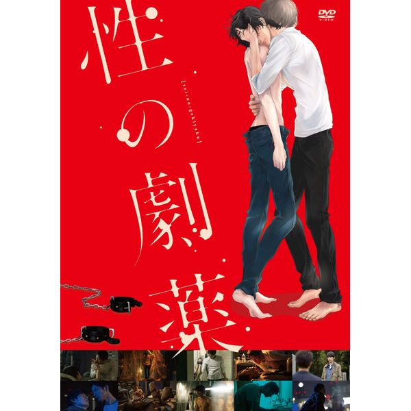 性の劇薬 DVDスタンダード・エディション