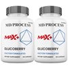 Glucoberry Max +  Blood Sugar Support Formula, 2x Higher Potency (2 Pack)