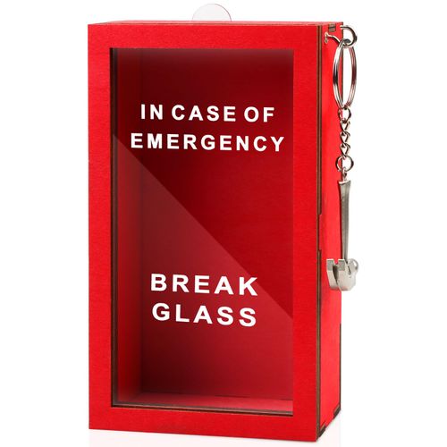 WenmthG Funny Gift Emergency Box - Create Self Defined Idea Jar w/Hammer, Break in Case of Emergency Box - Desk Decor - Personalized Gag Gift for Friends Coworkers
