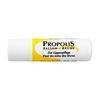 PROPOLIS PUR Lip Balm 4.8 g
