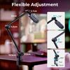 SmallRig Mic Boom Arm Microphone Stand with Desk Mount Clamp 4303