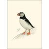 Earth Sky + Water - Puffin Notecard Set - 8 Blank Cards with Envelopes
